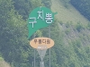 김천시 수도산 자연휴양림에서 구지뽕과 만나다.