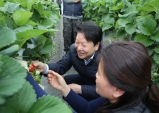 이병환 성주군수, 딸기재배농장 방문