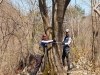 경북수목원, 보존구역 중점관리 식물자원 조사