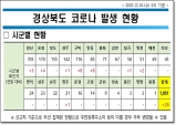 경북도내, 코로나 확진자 16일 0시 기준 국내 28명 발생