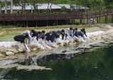 군위 삼국유사 테마파크, 비단잉어 보러 오세요~