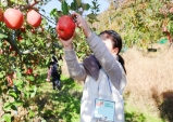 의성군, 도시민 초청으로 친환경농산물 우수성 홍보