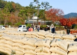 고령군, 2022년산 공공비축미곡. 시장격리곡 건조벼 수매