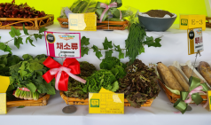 의성군, 경북친환경 농산물품평회 채소 부문 대상 수상