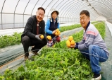 칠곡군, 벌꿀이 수정한 참외…그 이름 "벌꿀참외"