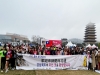 대만관광객, 경북의 봄 벚꽃 축제에 반하다!