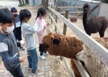 구미시지역아동센터, 쥬쥬동산에서 동물과 교감!