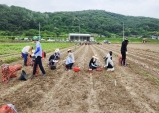 고령군, 우곡면-환경과-건설과-축산정책과 농촌일손돕기