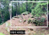 앗! 고령에도 이런 곳이!…38石 거북이 바위 동산