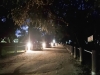 성밖숲, 야간조명으로 한층 밝아져 안전한 산책길!