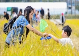 2023 성주가야산황금들녘메뚜기축제…주민이 만들고 참여!