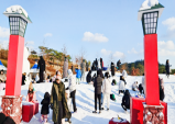 군위군, 삼국유사 눈썰매 축제…겨울을 제대로 즐겨라!