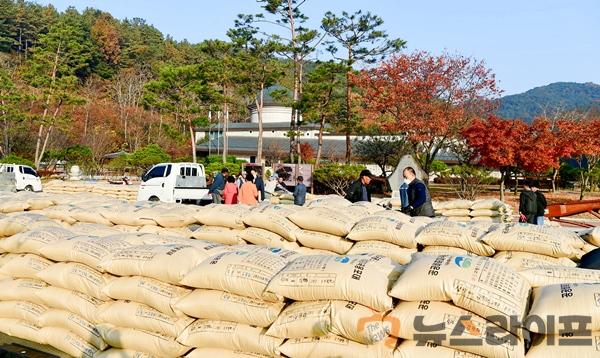 공공비축미곡 및 시장격리곡 건조벼 수매 (1).jpg