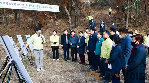 소나무재선충 방제 현장점검(2).jpg