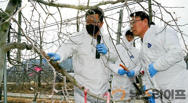 과수화상병_농식품부차관_방문2.jpg