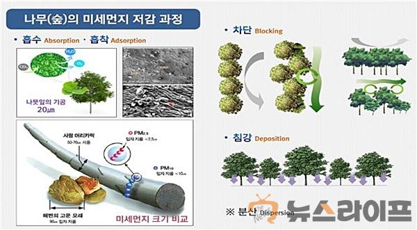 나무숲의 미세먼지 저감과정.jpg