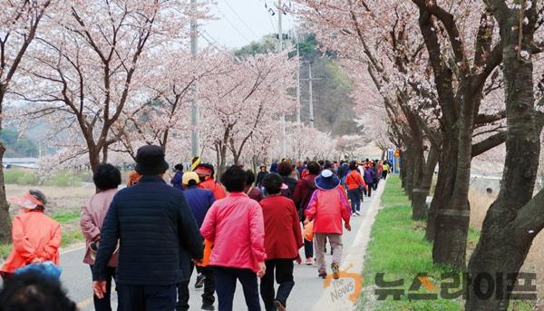 벚꽃길 걷기 화합 한마당 행사(사진6).jpg