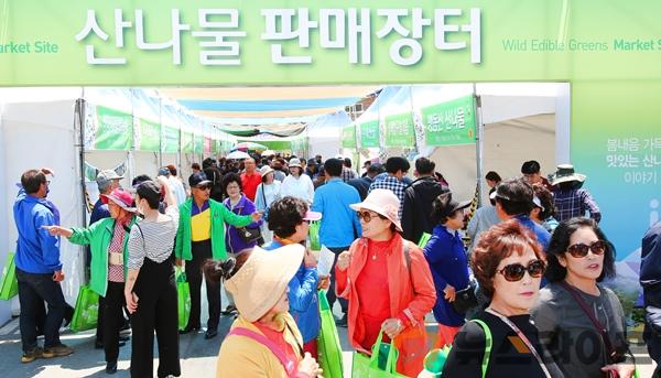 경북-영양산나물축제-2.jpg