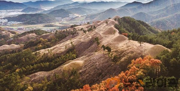 고령 지산동고분군 세계유산등재 확실-지산동 고분군2.jpg