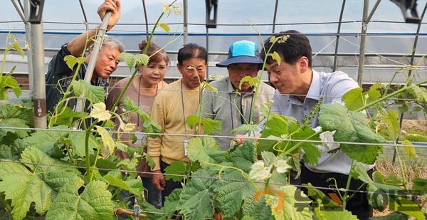 고령군 포도작목반 지역특화시범사업 샤인머스켓 교육2회(3).jpg