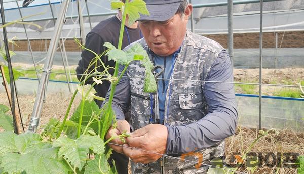 고령군 포도작목반 지역특화시범사업 샤인머스켓 교육2회(4).jpg