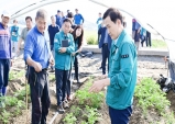 고령군, 농작물 고온 피해 현장 점검에 나서!