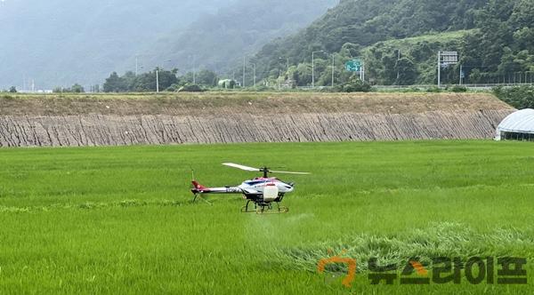 벼무인항공 병해충방제사업(2).jpg