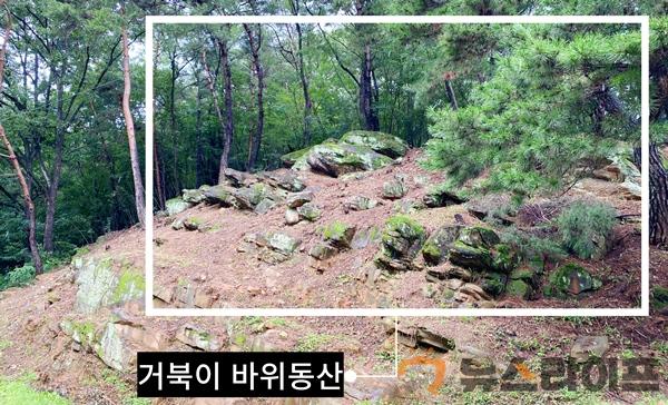 오동추야 거북이 바위동산-거북이 바위동산(1).jpg