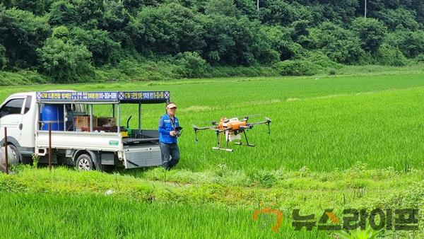 드론공동방제_농업기술센터 (2).jpg