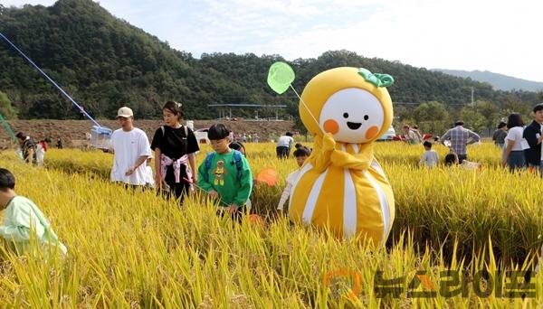 황금들녘 메뚜기축제1.jpg