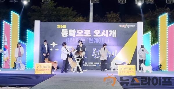 반려동물 문화축제 3.jpg