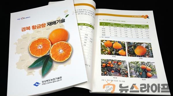 경북도 아열대 황금향 재배기술 매뉴얼.jpg