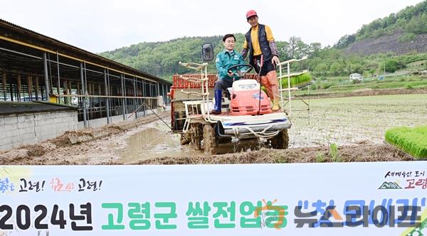 고령군 쌀전업농 첫 모내기(2).jpg