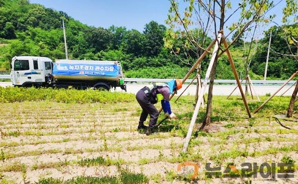 가로수 가뭄 피해 방지 총력전(사진2).JPG