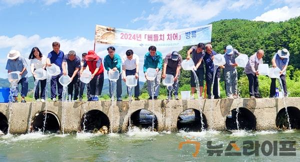 고령군 버들치 치어 2만미 방류(1).jpeg