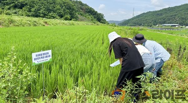 포장검사3.jpg