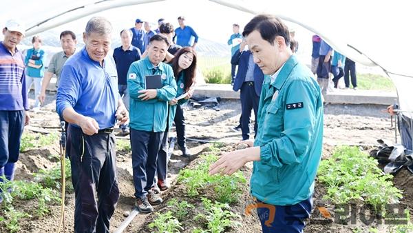 농작물 고온피해 현장 점검(2).jpg