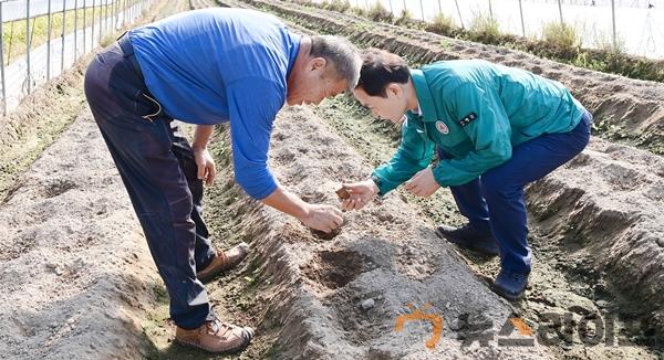 농작물 고온피해 현장 점검(3).jpg