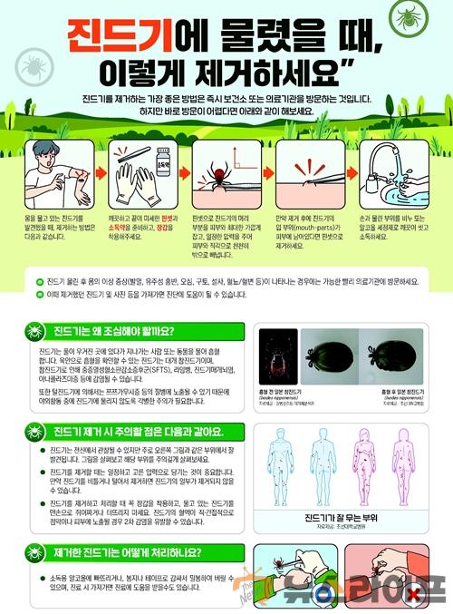 진드기 제거방법(사람  반려동물)1.jpg